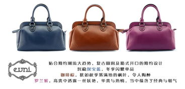 優(yōu)妮時(shí)尚箱式單肩包 優(yōu)雅與實(shí)用的完美結(jié)合